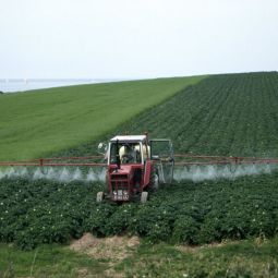 Boer besproeit een akker met aardappels