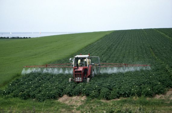 Farmer spraying a potato field